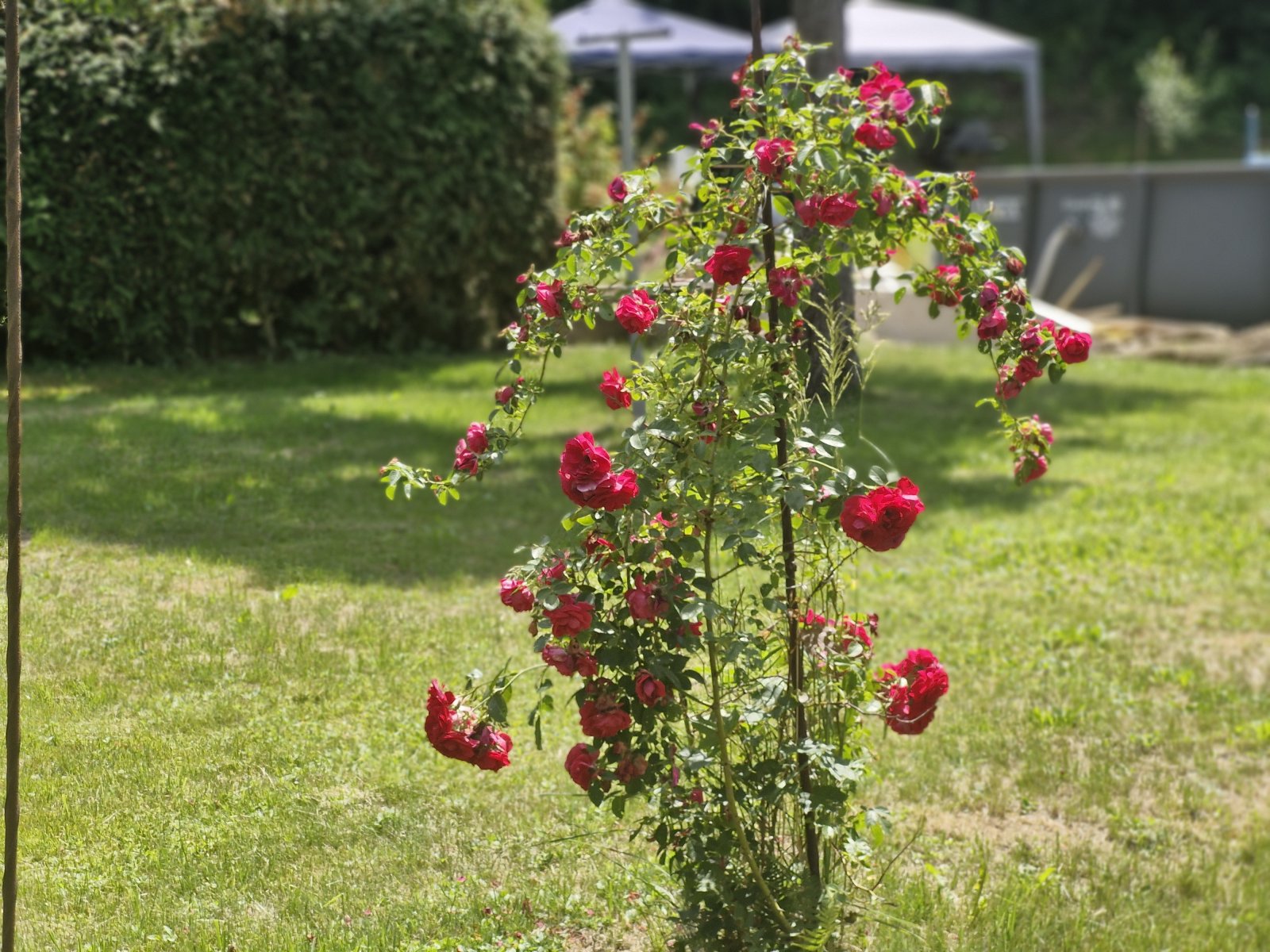 4 Zimmer Eigentumswohnung mit 768 m² Gartenfläche