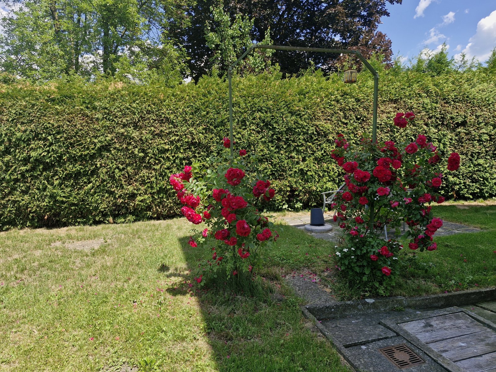 4 Zimmer Eigentumswohnung mit 768 m² Gartenfläche