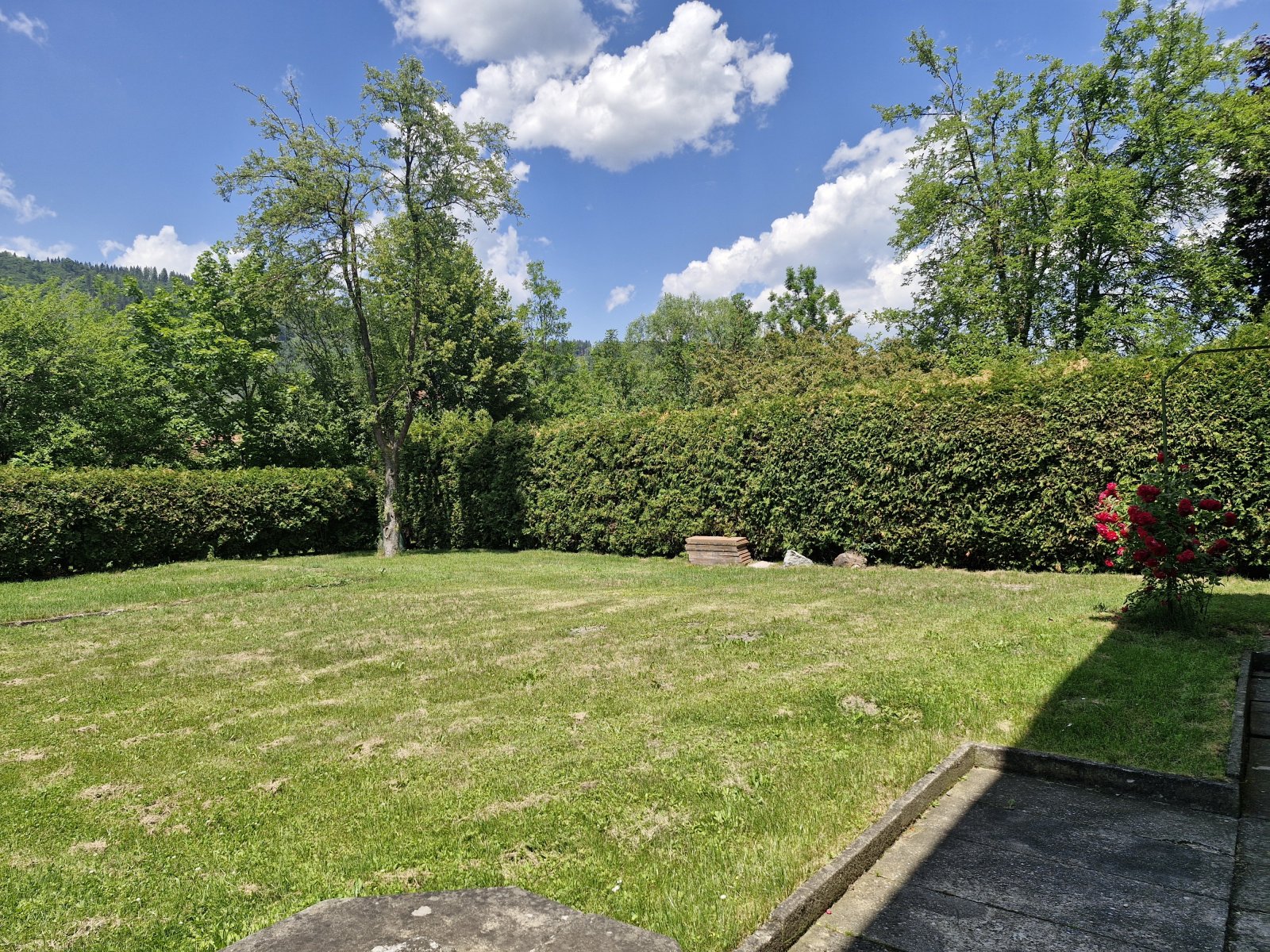 4 Zimmer Eigentumswohnung mit 768 m² Gartenfläche
